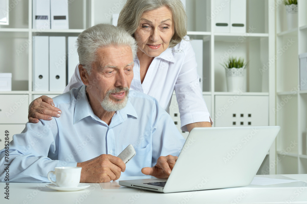 Portrait of happy senior couple with laptop 