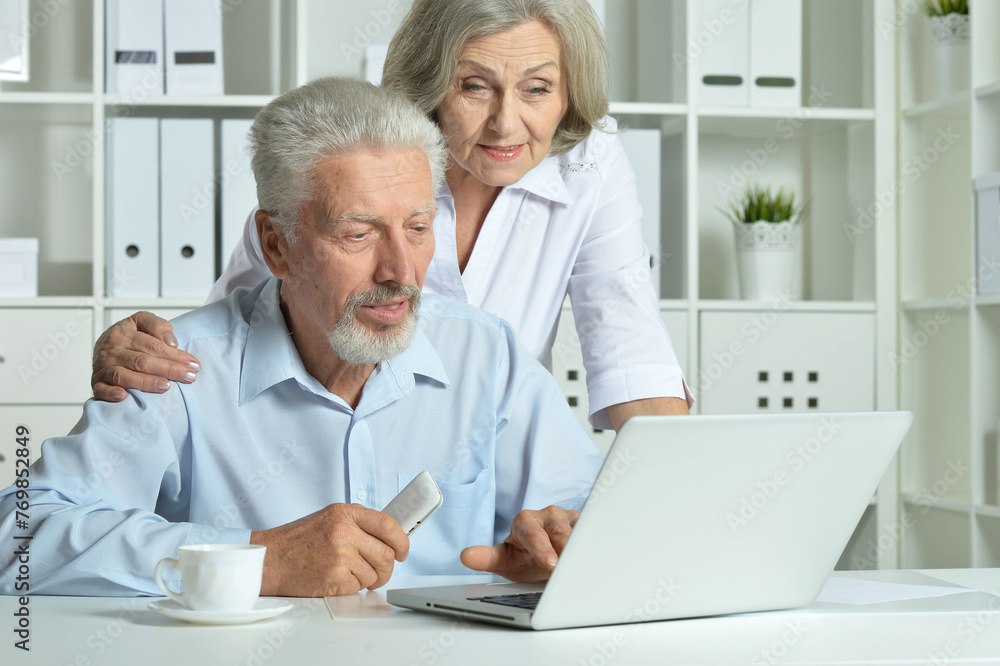 Portrait of happy senior couple with laptop