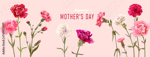 Rectangular card for Mother's Day. Panoramic frame with red, pink, white carnation flowers on pink background. Template with massage for mother greeting. Realistic illustration in watercolor style