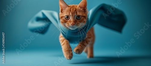 Electric blue scarf adorns snout of Felidae as it gracefully runs photo
