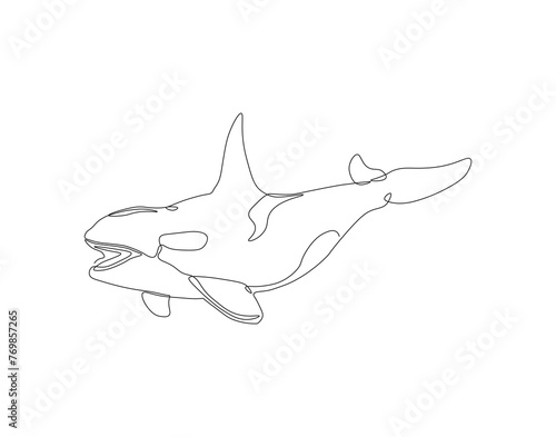 Continuous one line drawing of orca whale. One line of wild whale killer. Under ocean concept continuous line art. Editable outline.