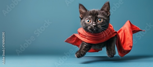 Feline fiction Black Felidae cat in red scarf leaps gracefully