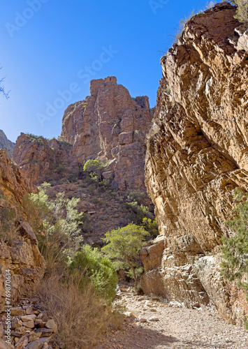 A hiking trail and natural pathway along the landscape of Big Bend National Park in the desert. This southwestern theme vertical scenery fills the empty space.