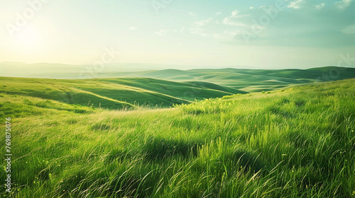 Under a sunny sky lush green grasslands stretch into the horizon offering a picture landscape for nature photo