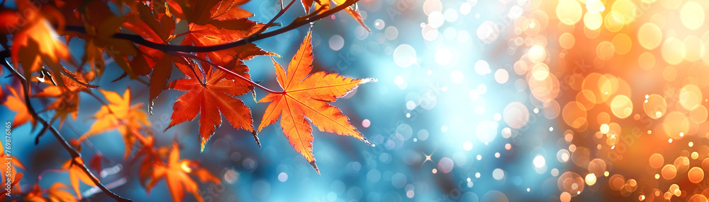 abstract background with bokeh effects accentuated by vibrant orange maple leaves abstract background with bokeh effects accentuated by vibrant orange maple leaves