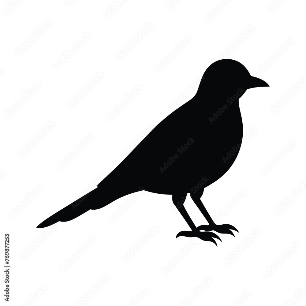 Obraz premium silhouette of a lark bird on white