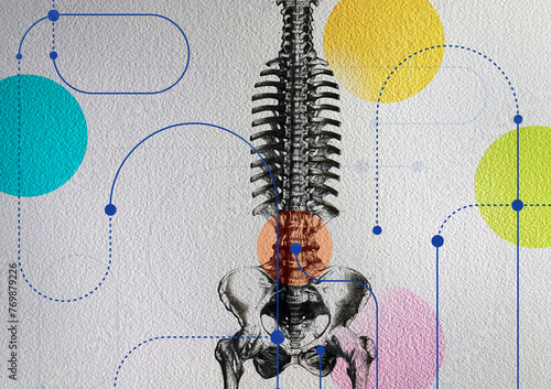 Connections to human spine