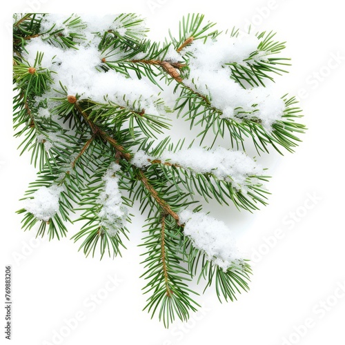 Snow-Covered Pine Branches Isolated on White Background. Generative AI.