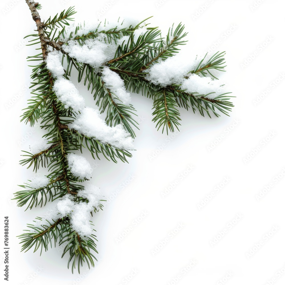 Snow-Covered Pine Branches Isolated on White Background. Generative AI. Snow-Covered Pine Branches Isolated on White Background. Generative AI.