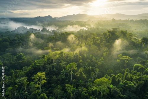 A wide-angle view of a protected wildlife reserve featuring lush forests and pristine habitats preserved for endangered species