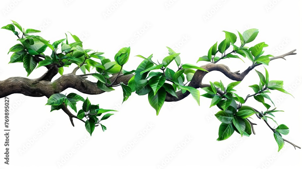 Abstract organic background with twisted jungle branch and lush green plant growth, isolated on white for versatile design use, digital illustration