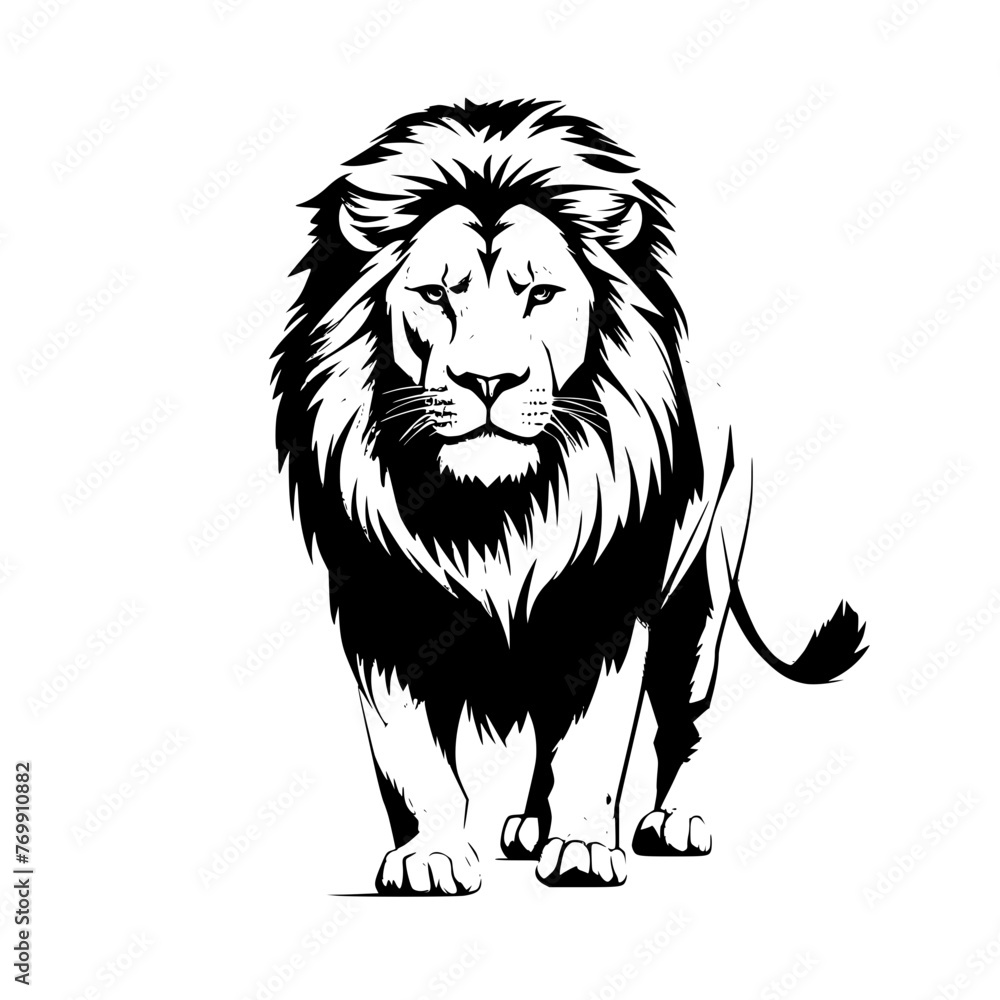 lion illustration lion illustration