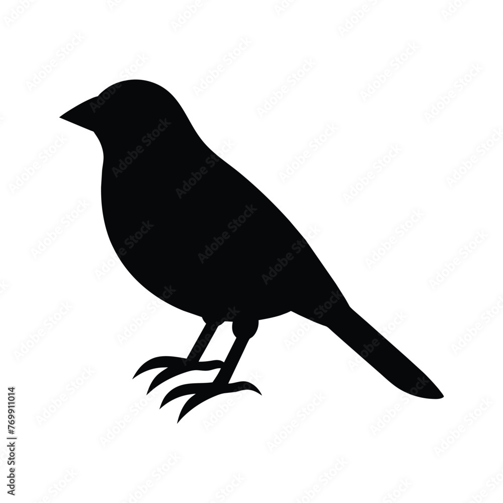 Fototapeta premium silhouette of a bobolink bird on white