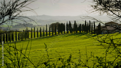 Panorama collinare della Val d'Orcia lungo il percorso ciclistico dell'Eroica. Provincia di Siena. Toscana , Italia 