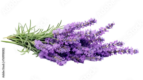 Isolated Lavender Image on transparent background