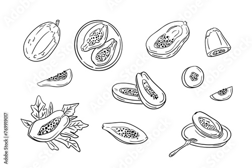 Papaya fruits sketchy outline drawings collection. Vector black contour doodles of pieces of fruits and whole fruits on white background. Ideal for coloring pages, tattoo, pattern