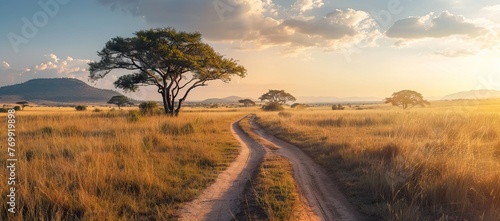 Sunset in savannah of Africa with acacia trees, Safari in Serengeti of Tanzania. AI generated illustration