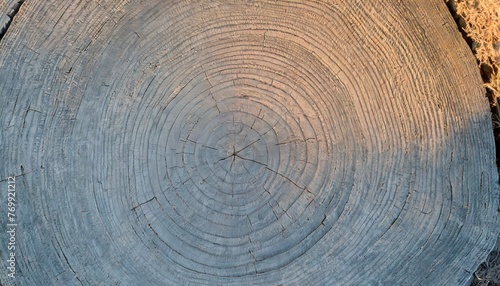 detailed blue cut wood tree background with circle growth rings pattern