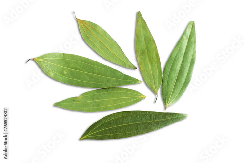 Dried bay leaf or bay laurel leaves,Laurus,cinnamon leaf spice also known in india as tamalpatra,taj patta isolated cutout transparent background,png format