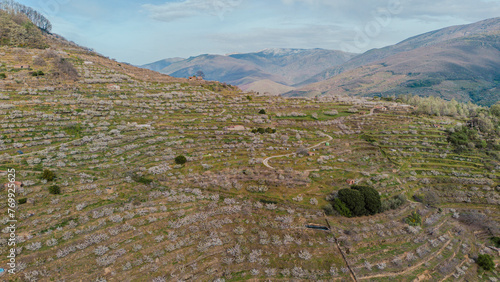 Cherry blossoms in the Jerte Valley, Cáceres, Spain