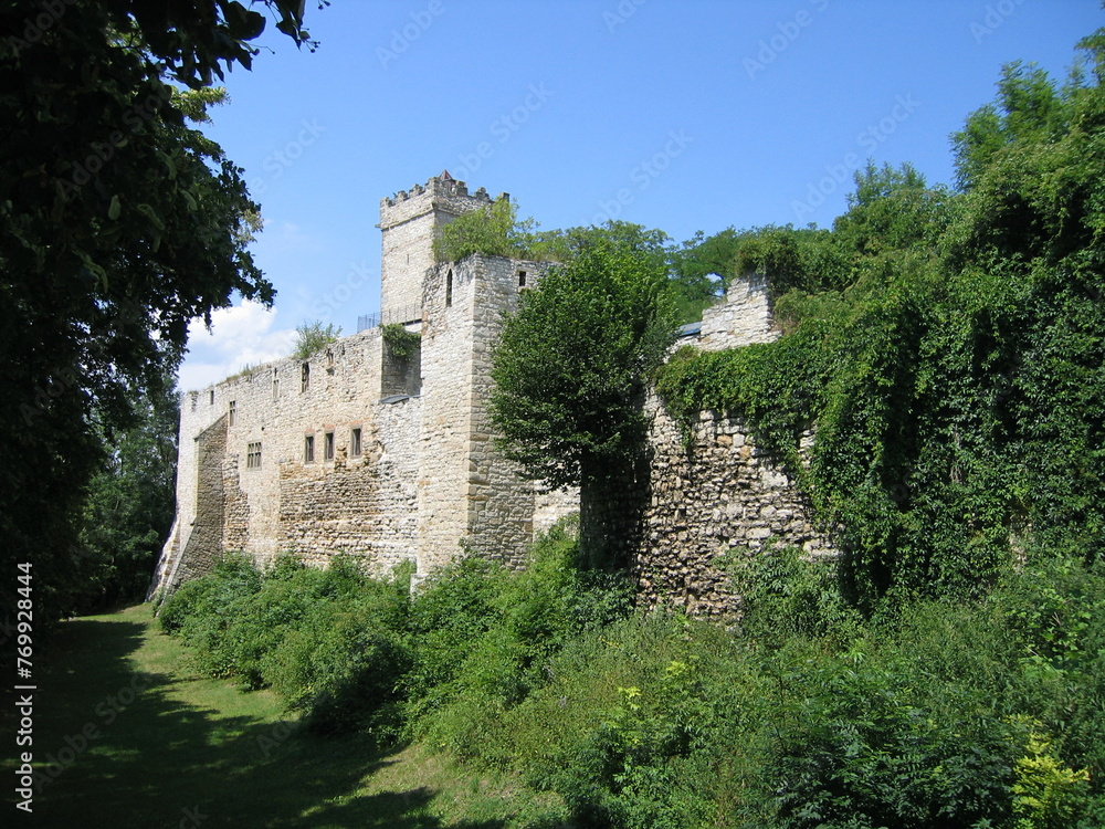 Eckardsburg mittelalterliche Burg bzw Burgruine in Sachsen-Anhalt im Burgenlandkreis
