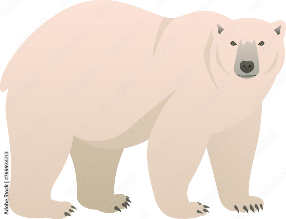 Obraz premium Color vector illustration of polar bear standing side view. Wild animal living in the ice isolated on white background. Wildlife of Arctic.