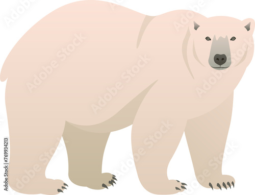 Color vector illustration of polar bear standing side view. Wild animal living in the ice isolated on white background. Wildlife of Arctic. © Anastasiia Neibauer
