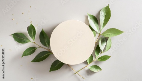 empty round podium and green leaves on light grey background top view pedestal and fresh natural branches for cosmetic marketing eco product presentation or sale mockup top view minimal flat lay