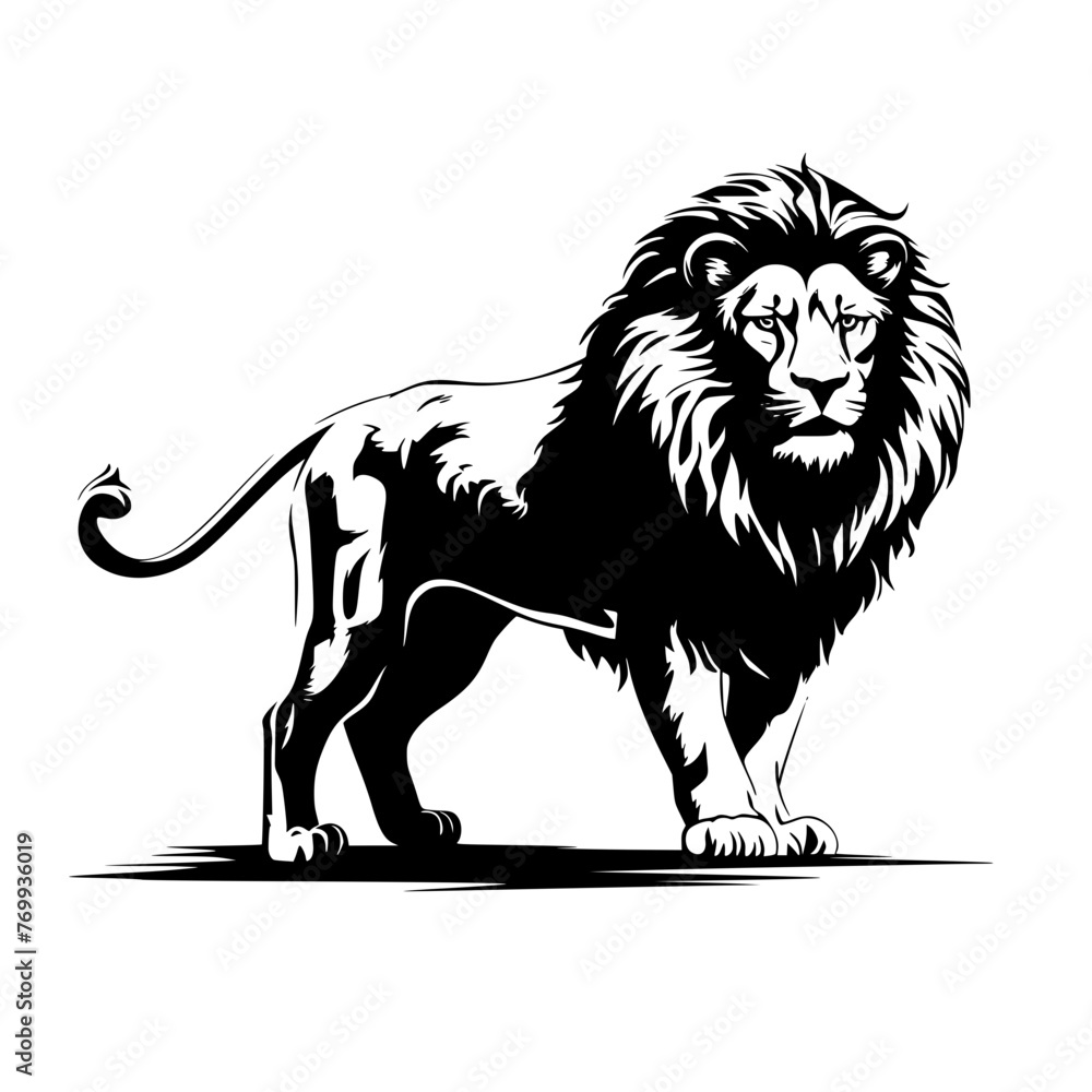 Fototapeta premium portrait of a lion