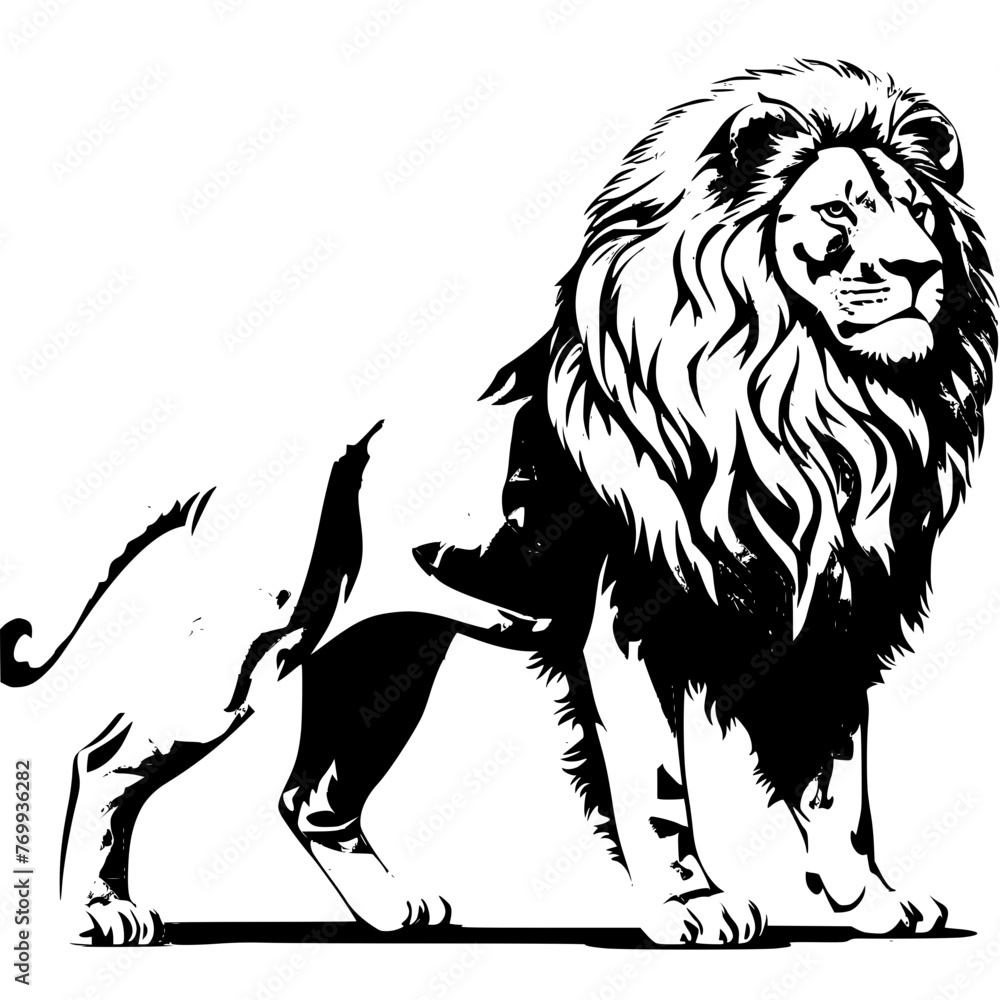 Obraz premium lion vector