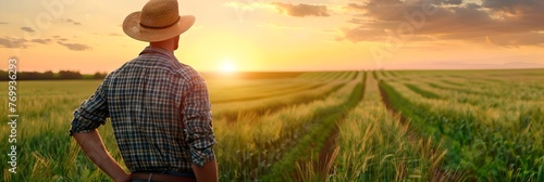 Farmer overlooking a green field at sunset. Agriculture industry concept. Farming lifestyle, farmland. Design for banner, header with copy space