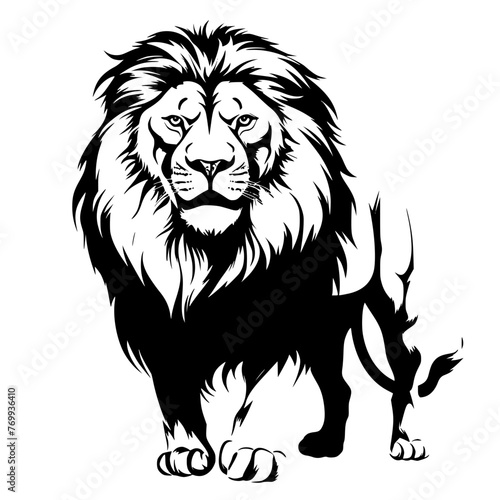 illustration of lion