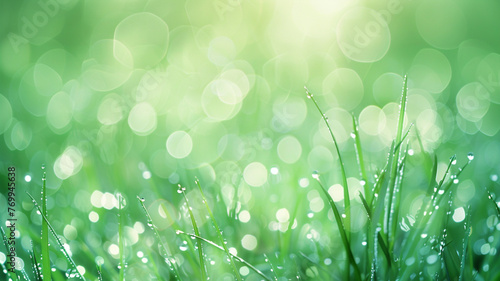 A calm, defocused background in cool mint green, with delicate light green bokeh lights, resembling dew drops on fresh spring grass at dawn.