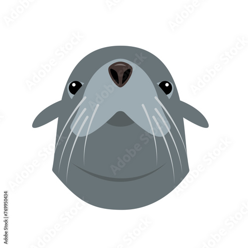 Sea lion or Fur seal animal head icon. Northern Sea or ocean water mammal animal face. Gray Arctic Sealion or rur seal icon. Vector flat or cartoon illustration isolated on white background.