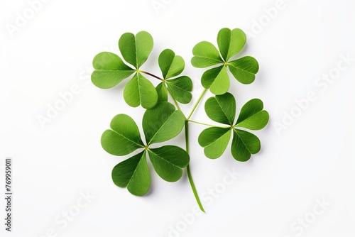 Green clover leaves isolated on white background, St. Patrick's Day, Ai Generated