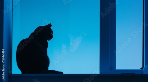 A contemplative silhouette of a cat sitting by a window, the soft blue light hinting at a tranquil world beyond