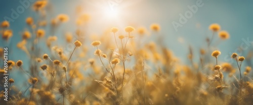 Summer sky with sunlight natural bokeh © Adi