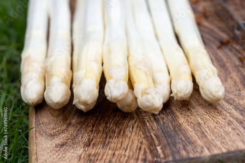 Spring season, new harvest of Dutch, German white asparagus, bunch of raw washed and pilled white asparagus and green grass