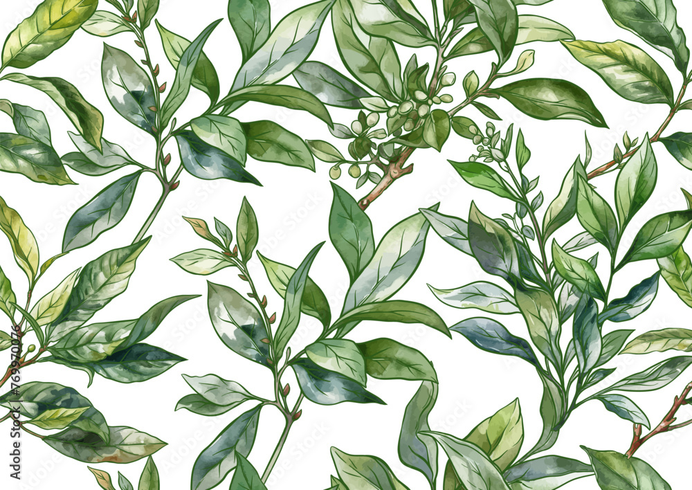 Branch with leaves of green tea. Seamless pattern, background. Vector illustration. In botanical style Branch with leaves of green tea. Seamless pattern, background. Vector illustration. In botanical style