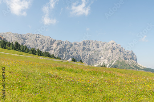 Beautiful summer view on the Italian dolomites mountains. Alpine meadow in the foreground, rocky Italian mountains in the background. Sunny summer day. Villnöß, Villnöss Valley, South Tyrol.
