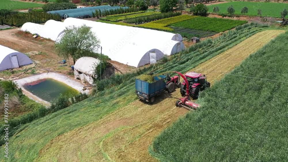 Foraging Machine Forage harvester for cutting corn for silage in the field. Tractors are ...