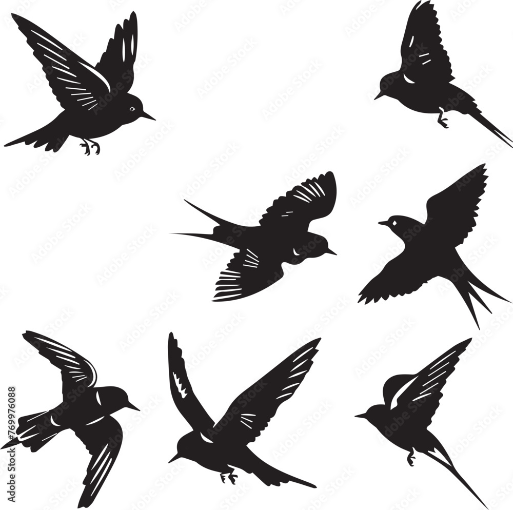 Obraz premium Swallow Birds Flying Silhouettes