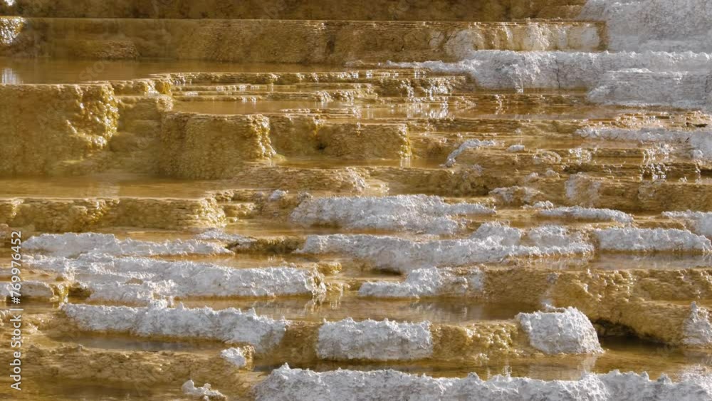 Mammoth Hot Springs is a large complex of hot springs on a hill of