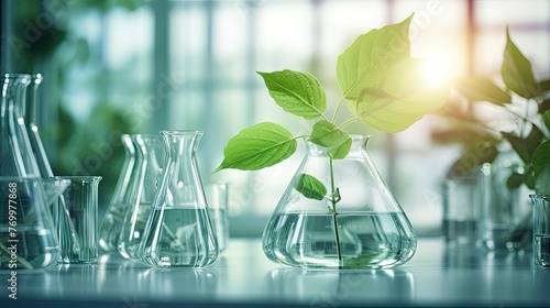 Science and nature concept, green laboratory with test tubes photo