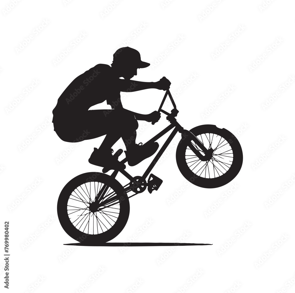 Fototapeta premium Professional bmx bicycle player silhouette. Vector illustration