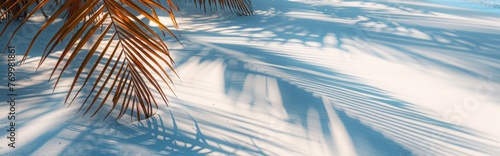 Top view of tropical leaf shadows on top. The shadows of palm leaves on the white sand. Beautiful abstract background concept banner summer vacation at the beach.