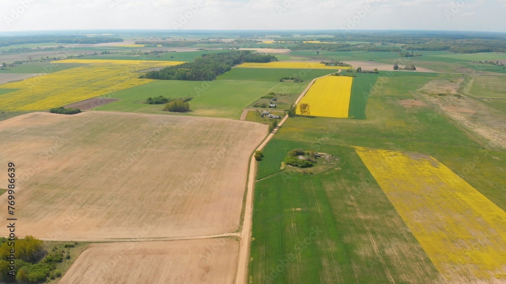 Aerial view of the fields of Belarus in May with rapeseed fields.
