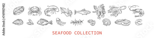 Big isolated vector collection of seafood. Shrimps, langoustines, prawns, salmon, trout, oysters, mussels, squid, crab, lemon, asparagus, dorado. Hand-drawn seafood, restaurant and marine cafe menu.