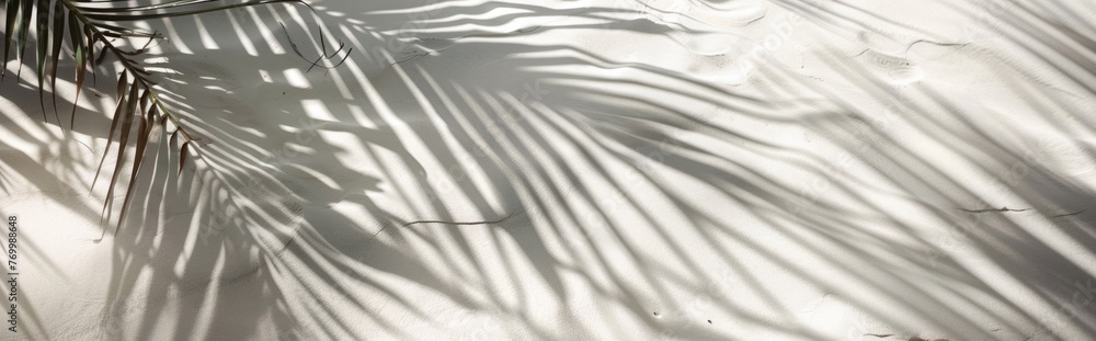 Obraz premium Beautiful abstract background concept banner summer vacation at the beach. Top view of tropical leaf shadows. The shadows of palm leaves on the white sand.