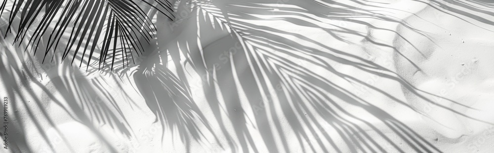 Obraz premium Beautiful abstract background concept banner summer vacation at the beach. Top view of tropical leaf shadows. The shadows of palm leaves on the white sand.